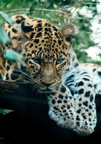 Tanzania Royal Tours