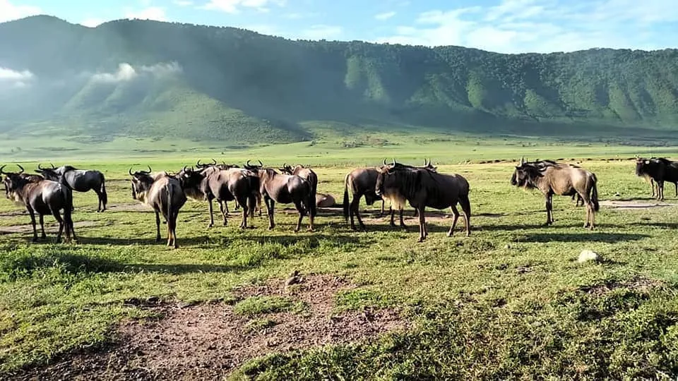 Explore Tanzania in every season