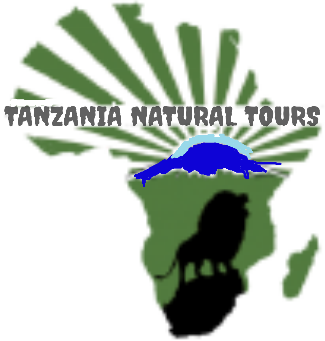 Tanzania Natural Tours logo