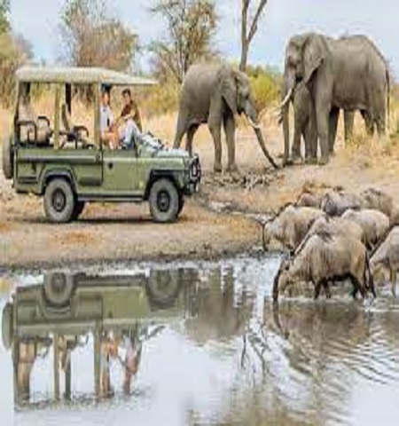 Manyara National park 2 days Tanzania safari