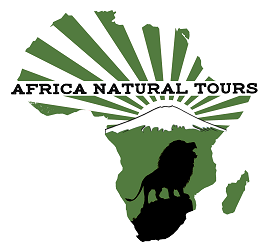 10 best Kilimanjaro luxury trekking companies in Tanzania - Africa Natural Tours
