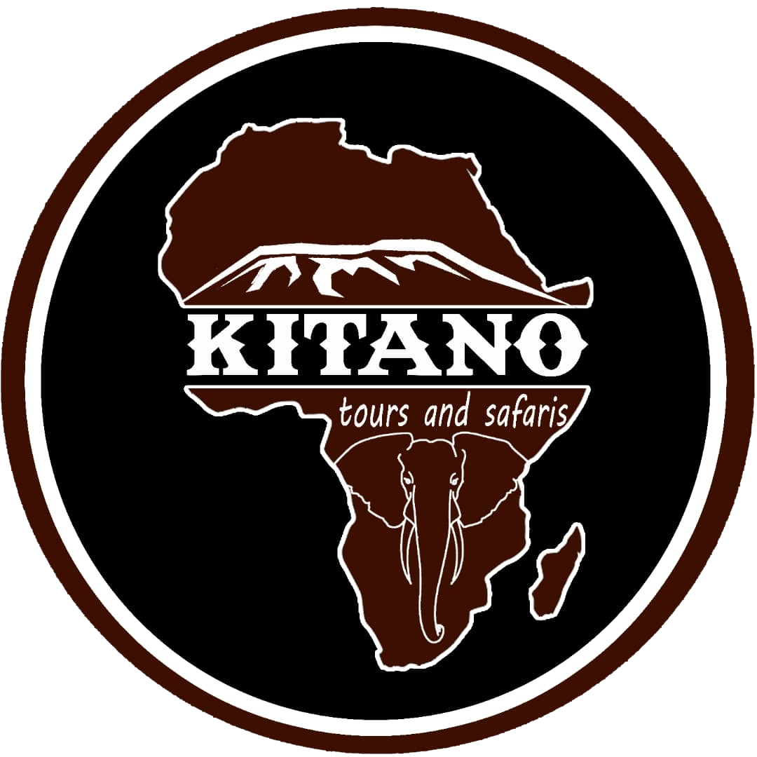 Kitano Tours