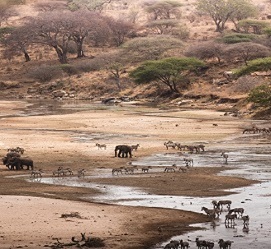 3 days trips tours to Tarangire and Lake Eyasi