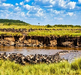4-days-serengeti-migration-safari