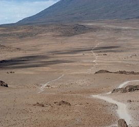 Kilimanjaro trekking 6 days via Rongai route