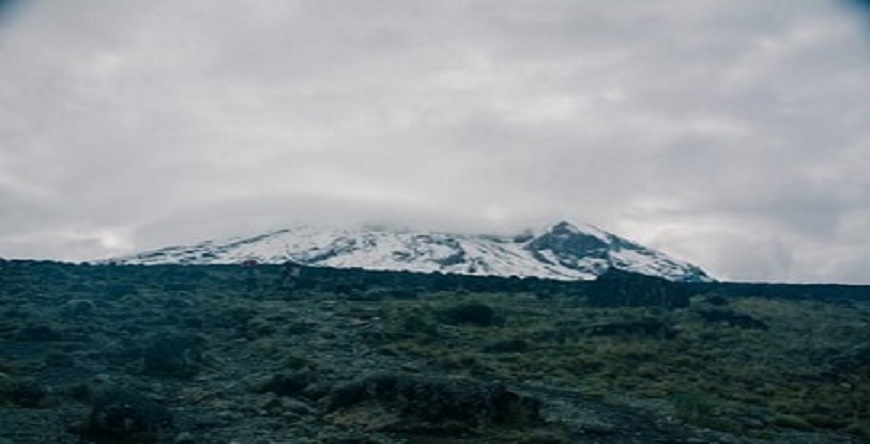 8 days lemosho route trekking Kilimanjaro