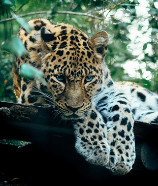 About Tanzania Natural Tours