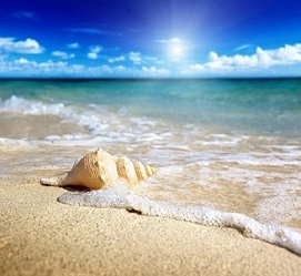 Zanzibar Island