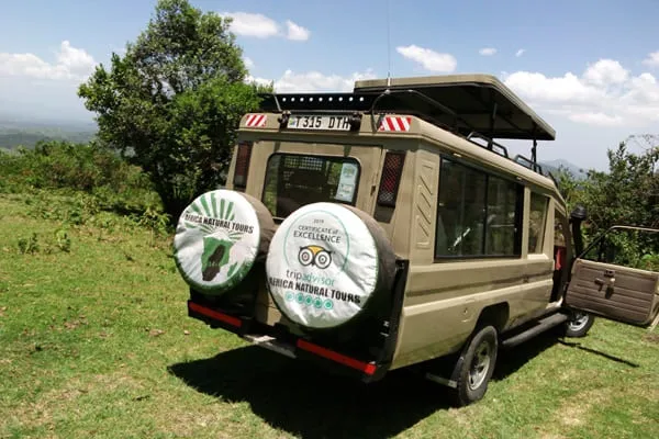 A Wonderful Safari Experience to Remember