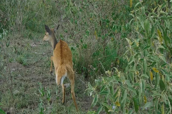 Beyond Incredible: Tanzania Took Our Breath Away