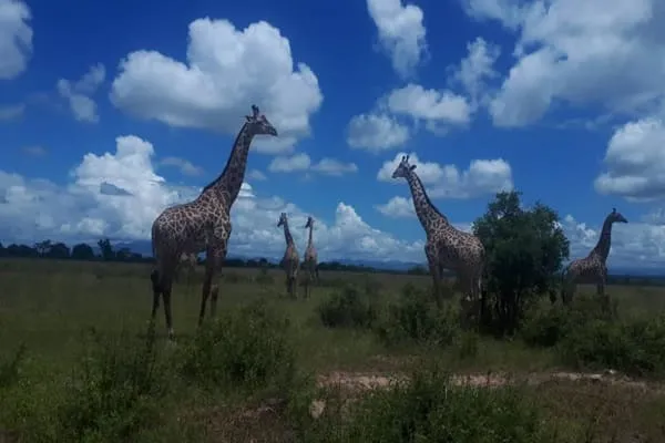 Beyond Incredible: Tanzania Took Our Breath Away
