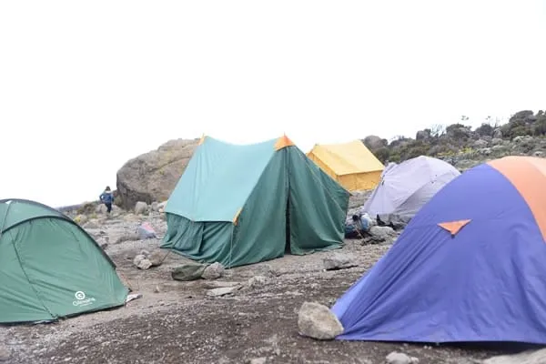 An Unforgettable Kilimanjaro & Safari Tours