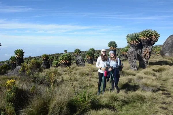 Kilimanjaro hiking memory with my wife