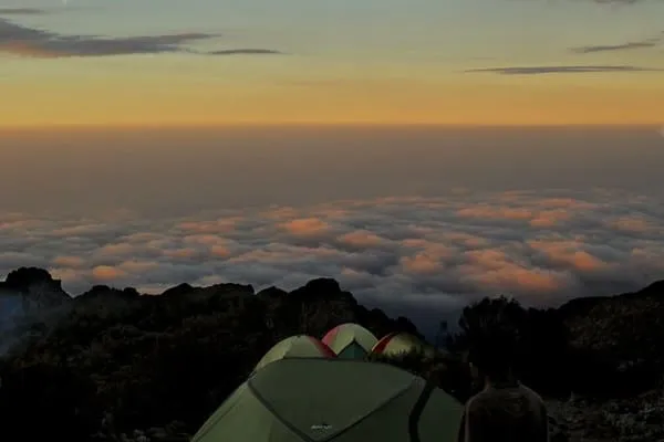A Front-Row Seat to the Wonders of Africa