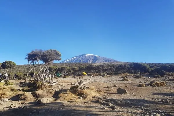 A Front-Row Seat to the Wonders of Africa