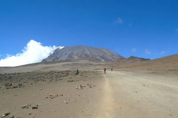 Trek Kili with Tanzania Natural Tours