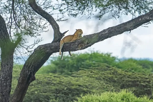 Amazing wildlife, welcoming people, safe country!!