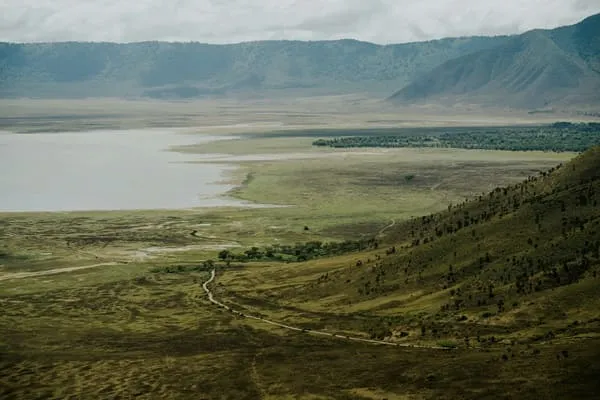 Wildlife Everywhere: Tanzania Was Beyond Our Dreams by Rohan Kapoor from India
