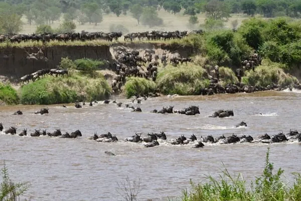 Absolutely Magical: Tanzania exceeded every expectation by Zhao Ming from China