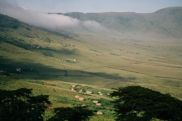 Perfect 7 Day Tanzania Luxury Safari from Arusha - perfect were spot on by Emily Taylor from United Kingdom