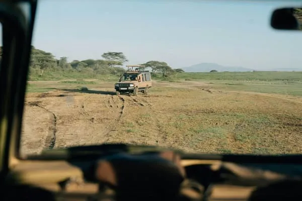 Wildlife Everywhere: Tanzania Was Beyond Our Dreams by Rohan Kapoor from India