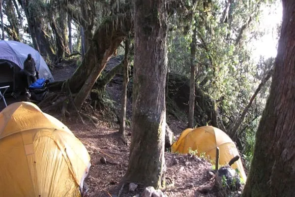 What an Amazing Kilimanjaro Experience!