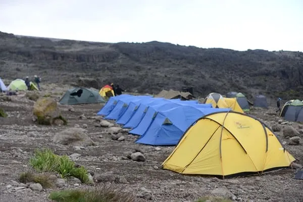 What an Amazing Kilimanjaro Experience!