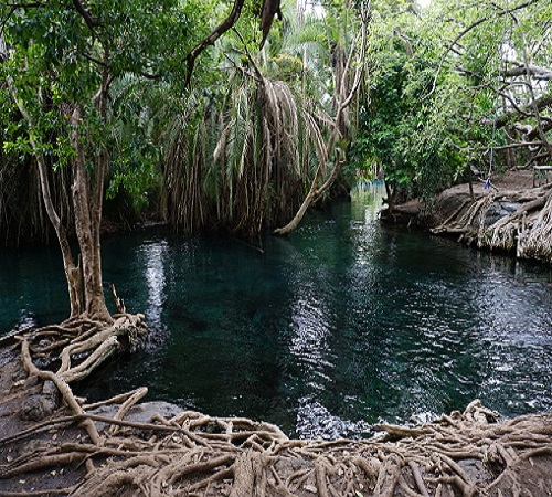 Tanzania day trip to Chemka/Kikuletwa hotsprings
